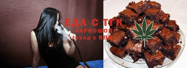 СК Дмитров
