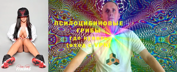 гидра Дмитриев