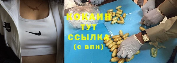 гидра Дмитриев