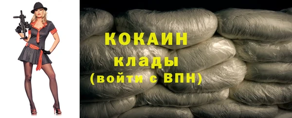 СК Дмитров