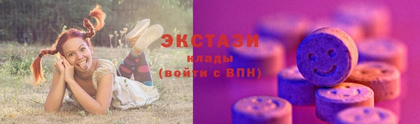 СК Дмитров