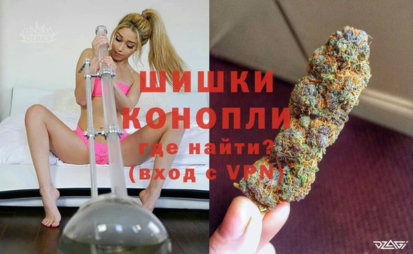 соль ск Дмитровск