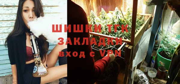гидра Дмитриев